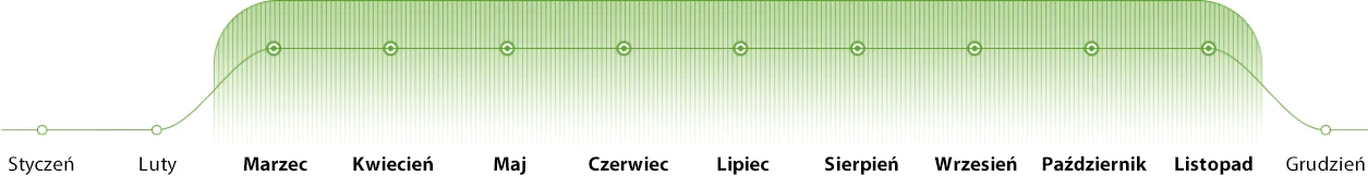 Kiedy stosować?